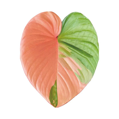 Plant Socket Folding Phone Grip Tok Leaf Acrylic Phone Holder For iPhone Universal Smartphone Griptok Bracket Finger Stand