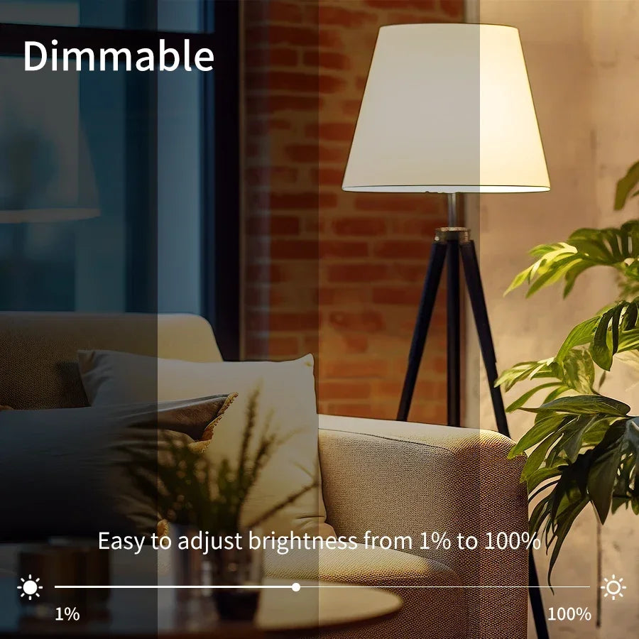 Cozylife 220V 110V WiFi Smart LED Bulb 12W 15W 20W E27 Cold & Warm Indoor Light  Alexa Google Home Together APP Timing Dimming