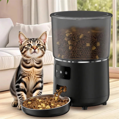 New Pet Automatic Smart feeder WIFI  Camera model intelligent graffiti APP cell phone remote Feeder for Puppy Cat